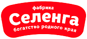 Фабрика «Селенга»